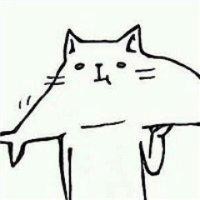 毛天奇