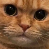 김슬기