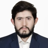 Muhammad Waleed Rathore