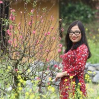Phan Le Thuy - Vdc