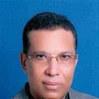 sayed abu elmagd
