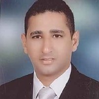 Aman Mohamed Mostafa Hassan