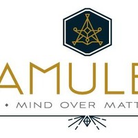 Amulet Consulting