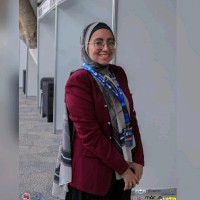 Nermeen Ahmed
