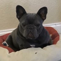 Penelope Pamela Garbis