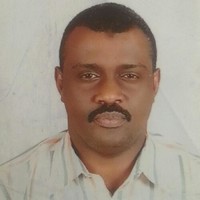 Fadul Hamid Mahmoud