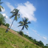 Khin Zaw