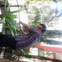 Deepak Bangwal