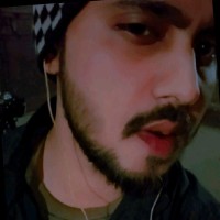 Mohd. Naved Ansari