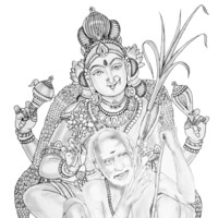 Kasi Viswanathan N