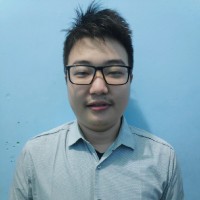 Vincent Fernando