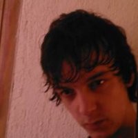 elvedin salkic
