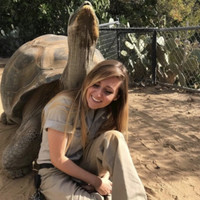 Danielle Taylor-Lang