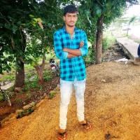 Krishna Naik