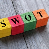 SWOT ANALYSES