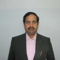 Palash Bhowmik
