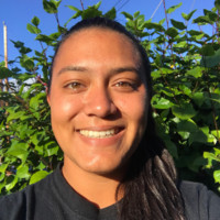 Cheyenne Pico