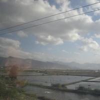 王西宁