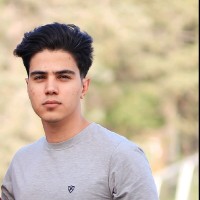 Amir Hossein Asadi