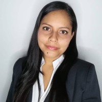 Yuli Andrea Pineda Castillo