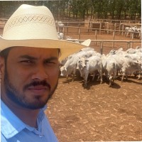 Júlio Henrique Cruz Lopes