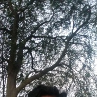 Sanjay Kumar