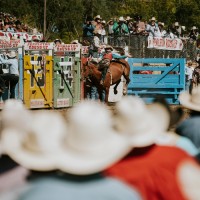 Pendleton Round-Up