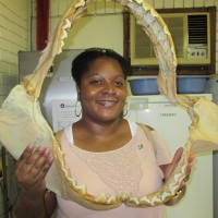 Veronica Wylie, Ph.D