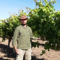 Antonio Carlomagno, PhD