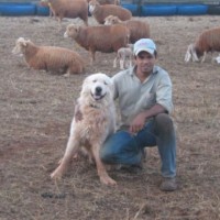 Eliseu Nunes Vieira