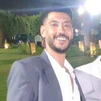 Mohamed Elshaarany