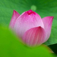 王梦君
