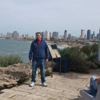 alexandru punga