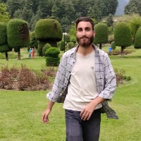 Faizan Shafii