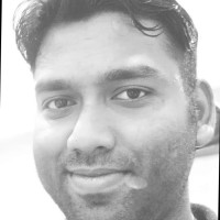 Alokesh Ray