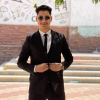Mostafa G. Farg