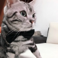 吕晓萍