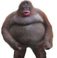 Jerry Jerry