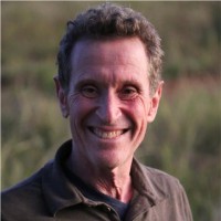 Dan Rosengarten