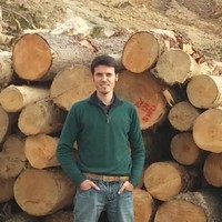 Carlos Pastor Toledano