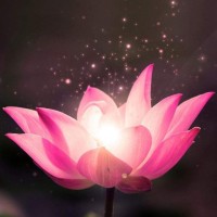 Nguyễn Quốc Lưu