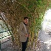 Kuldip Kaklotar