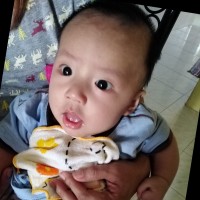 郑嘉豪