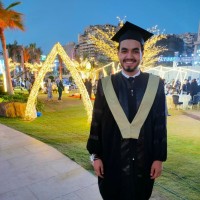 Mohamed Ashour, Mba