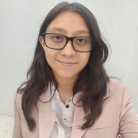 Michelle Rergis Novelo