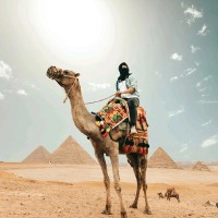 Mohamed Torky