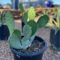 EDS Landscape Supply