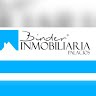 Binder Palacios
