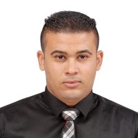 Mina Samir Abdallah