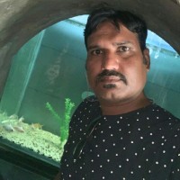 Laxmikant Tripathi